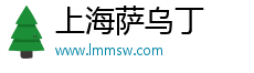 上海薩烏丁